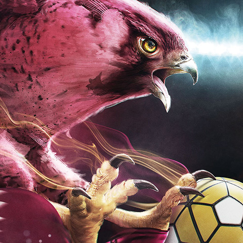 Qatar Football Association